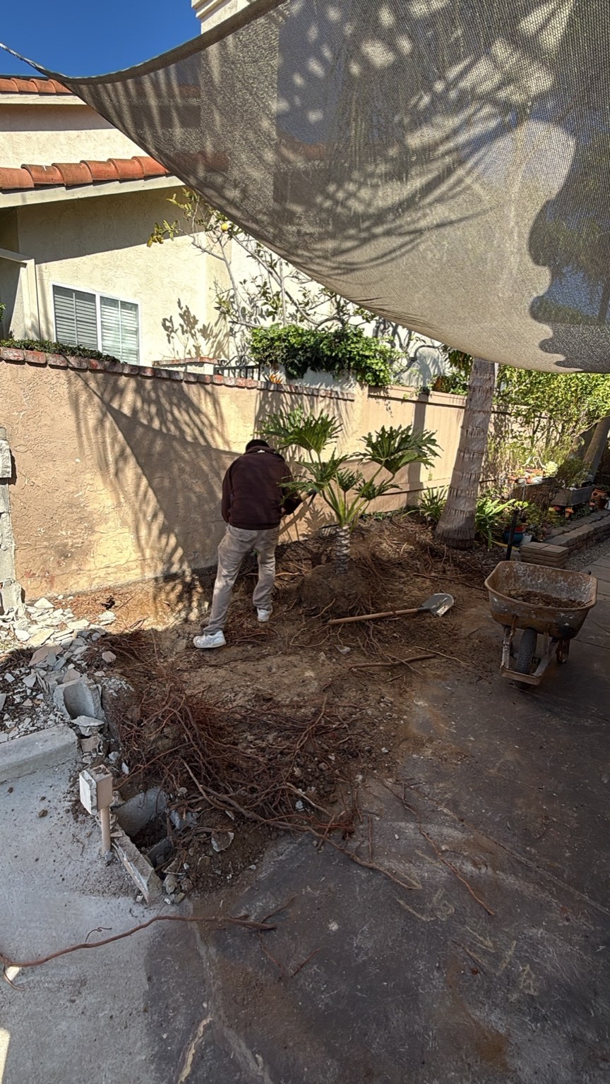 Crew beginning wall and dirt removal
