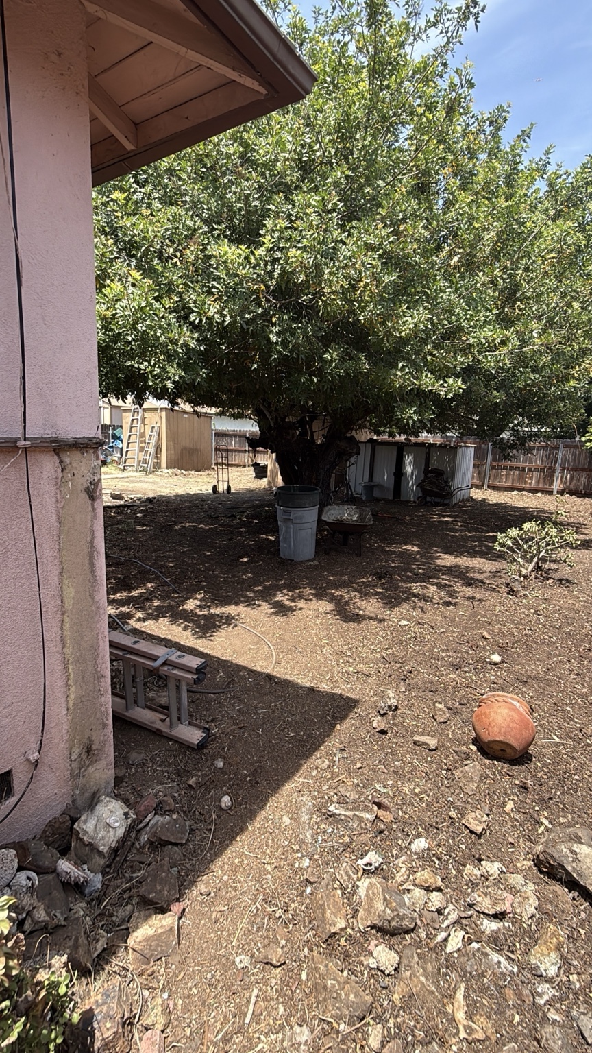 Backyard after debris cleanup
